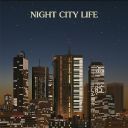 (Disco, Italo-Disco, Synthpop, Europop) VA - Night City Life Compiled by Ilan Pdahtzur (Spacetalk Records ∕ STLKCD006) - [2019] [FLAC] [ToAlien]