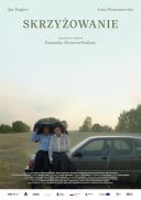 Skrzyżowanie (2024) [PL.1080p.WEB-DL.x264-KiT] [Film polski] [mkv]  [FIONA9]