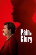 Ból i blask / Pain and Glory (2019) [1080p.BluRay.x264] MULTi M80