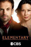 Elementary (2019) [Sezon 7] [720p] [WEB-DL] [x264-FT] [Lektor &amp; Napisy PL]