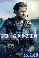 13 godzin: Tajna misja w Benghazi - 13 Hours: The Secret Soldiers of Benghazi (2016) [WEB-DL XviD AC3-5 1] [AVI] [Lektor PL] [RobSil]