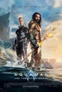 Aquaman i Zaginione Krolestwo /Aquaman and the Lost Kingdom (2023) [BDRemux.2160p.TrueHD.7.1] (Napisy PL)