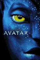 Avatar (2009) [x264.1080p] Lektor PL Extended [AC3.5.1] M80