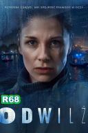 Odwilz S02E01-03 (2024) PL 1080p MAX WEB-DL x264 KiT [R68}