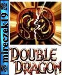 Znak Smoka - Double Dragon *1994* [DVDRip] [XviD-NN] [Lektor PL]