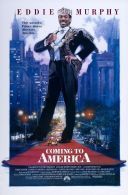 Książę w Nowym Jorku - Coming to America (1988) [480p] [BRRip] [XviD] [AC3-LTN] [Lektor PL]