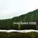 Deep Forest - Deep Forest ASMR (2025) [Flac]