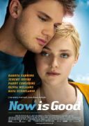 Niech bedzie teraz / Now Is Good (2012) [720p] [BDRip] [XviD] [AC3-ELiTE] [Lektor PL]