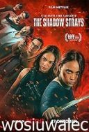 Błędny cień / The Shadow Strays (2024) [PL.720p.WEB-DL.XviD.DD5.1-K83] [Lektor PL] [avi]  [FIONA9]