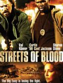 Ulice we krwi - Streets Of Blood (2009) [480p] [BRRip] [XviD] [AC3-LTN] [Lektor PL]
