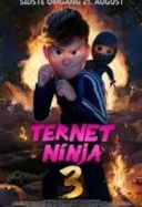 Ninja w kratke 3 / Ternet Ninja 3 (2025) [WEB-DL.XviD-AZQ] [Dubbing PL]