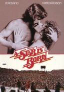 Narodziny gwiazdy / A Star Is Born (1976) [480p] [BRRip] [XviD] [AC3-LTN] [Lektor PL]