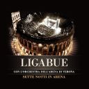 Ligabue - Sette notti in Arena (2009 Pop rock) [Flac 16-44]