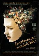 Do zobaczenia w zaswiatach / See You Up There (2017) [BRRip] [XviD-OzW] [Lektor PL] [avi] [FIONA9]