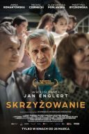Skrzyzowanie (2024) PL.1080p.WEB-DL.x264-KiT / Film polski