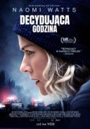 Decydujaca godzina / The Desperate Hour (2021) [480p] [BDRip] [XViD] [AC3] [5 1-MG] [Lektor PL]