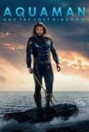 Aquaman i Zaginione Królestwo / Aquaman and the Lost Kingdom (2023) [V2.MULTi.1080p.BluRay.x264.AC3.DDP7.1-DENDA] [Lektor PL] [mkv]  [FIONA9]