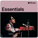 Stevie Wonder - Essentials (2025) [MP3 320kbps]