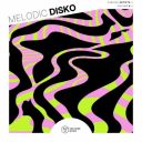 VA - Melodic Disko, Vol. 8 (2025) [MP3 320kbps]