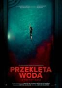 Przeklęta woda / Night Swim (2024) [720p] [WEB-DL] [XviD] [AC3-PT] [Lektor PL]