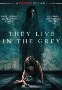 Oni kryją się w mroku / They live in the grey (2022) [PL.7280p.AMZN.WEB-DL.AAC2.0.H265-HEVC.Ad] [Lektor PL] [mkv]  [FIONA9]