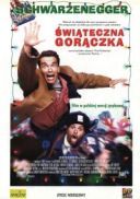 Swiateczna goraczka / Jingle All the Way (1996) [720p] [BDRip] [XviD] [AC3-ELiTE] [Lektor PL]