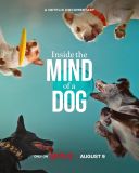 W głowie psa / Inside the Mind of a Dog (2024) [MULTi 1080p NF WEB-DL H264 DDP5 1 Atmos-K83] [Lektor PL] [mkv]  [FIONA9]