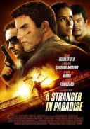 Pieklo w Raju - A Stranger in Paradise (2013) [DVDRip] [Lektor PL] [joanna668]