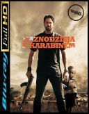 Kaznodzieja z karabinem (2011) [1080p.BluRay.REMUX.AVC][DTS-HD 5.1 En][DD 5.1 PL]--spajk85--