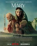 Maryja / Mary (2024) [PL.1080p.WEB.x265.AAC] [Lektor PL] [mp4]  [FIONA9]