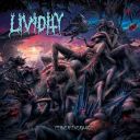 LIVIDITY - PERSEVERANCE (2018) [WMA] [FALLEN ANGEL]