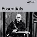 David Gilmour - Essentials (2025) [MP3 320kbps]
