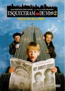 Kevin sam w Nowym Jorku - Home Alone 2: Lost in New York (1992) [720p] [BRRip] [XviD] [AC3-ELiTE] [Lektor PL]