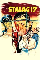 Stalag 17 (1953) [PL.1080p.BDRip.H264-wasik] [Lektor PL] [mkv]  [FIONA9]