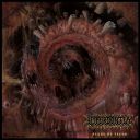 HYPERDONTIA - NEXUS OF TEETH (2018/2022) [MP3@320] [FALLEN ANGEL]