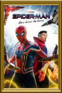 Spider-Man: Bez drogi do domu / Spider-Man: No Way Home (2021) [PLDUB] [BRRip] [XviD-K83] [Dubbing PL]