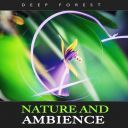 Deep Forest - Nature and Ambience (2025) [Flac]