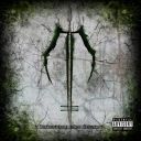 Dawn Of Ashes - Infecting The Scars (2025) [MP3 320kbps]