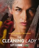 Pani sprzątająca / The Cleaning Lady (2025) S04E08 [480p-webdl-xvid-dd2.0-pl-p2p] [Lektor PL] [avi]  [FIONA9]