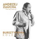 Andrzej Zaucha - Bursztynowa Kolekcja - The Very Best of 2015 [FLAC]