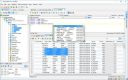 DbVisualizer Pro 25.3.2 (x64) + Crack[RepackMaster]