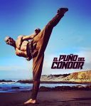 Piesc Kondora - The Fist Of The Condor (2023) [PL 1080p WEB-DL H264-FOX] [Lektor PL] [mkv] [FIONA9]
