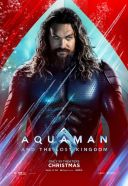 Aquaman i Zaginione Krolestwo / Aquaman and the Lost Kingdom (2023) [PLDUB 720p WEB-DL XviD DD5 1-K83] [Dubbing PL] [avi] [FIONA9]