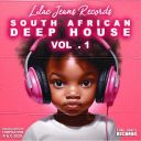 VA - South African Deep House Vol. 1 (2026) [MP3 320kbps]