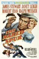 Naga ostroga / The Naked Spur (1953) [MULTI BluRay 1080p x264-LTN] [Lektor PL] [mkv]  [FIONA9]