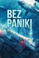 Bez paniki/No Way Up (2024) [1080p] [BRRip] [H264] [AC3-d11] [Lektor PL]