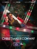 Święta w Conway / Christmas in Conway (2013) [PL.480p.AC3.WEB-DL.XviD-GR4PE] [Lektor PL] [avi]  [FIONA9]
