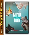 W glowie psa / Inside the Mind of a Dog (2024) [MULTi] [1080p] [NF] [WEB-DL] [H264] [DDP5 1 Atmos-K83] [Lektor PL i Napisy PL]
