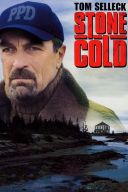Zimny jak głaz / Stone Cold (2005) [PL.PDTV.XviD] [Lektor PL] [avi]  [FIONA9]