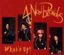 4 Non Blondes - What's Up 1993 [FLAC]